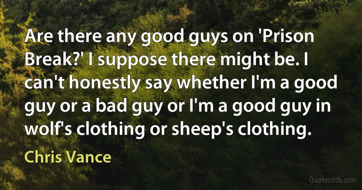 Are there any good guys on 'Prison Break?' I suppose there might be. I can't honestly say whether I'm a good guy or a bad guy or I'm a good guy in wolf's clothing or sheep's clothing. (Chris Vance)