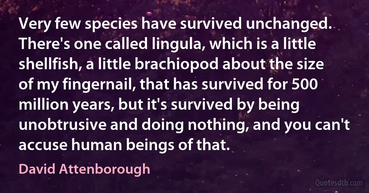 Very few species have survived unchanged. There's one called lingula, which is a little shellfish, a little brachiopod about the size of my fingernail, that has survived for 500 million years, but it's survived by being unobtrusive and doing nothing, and you can't accuse human beings of that. (David Attenborough)