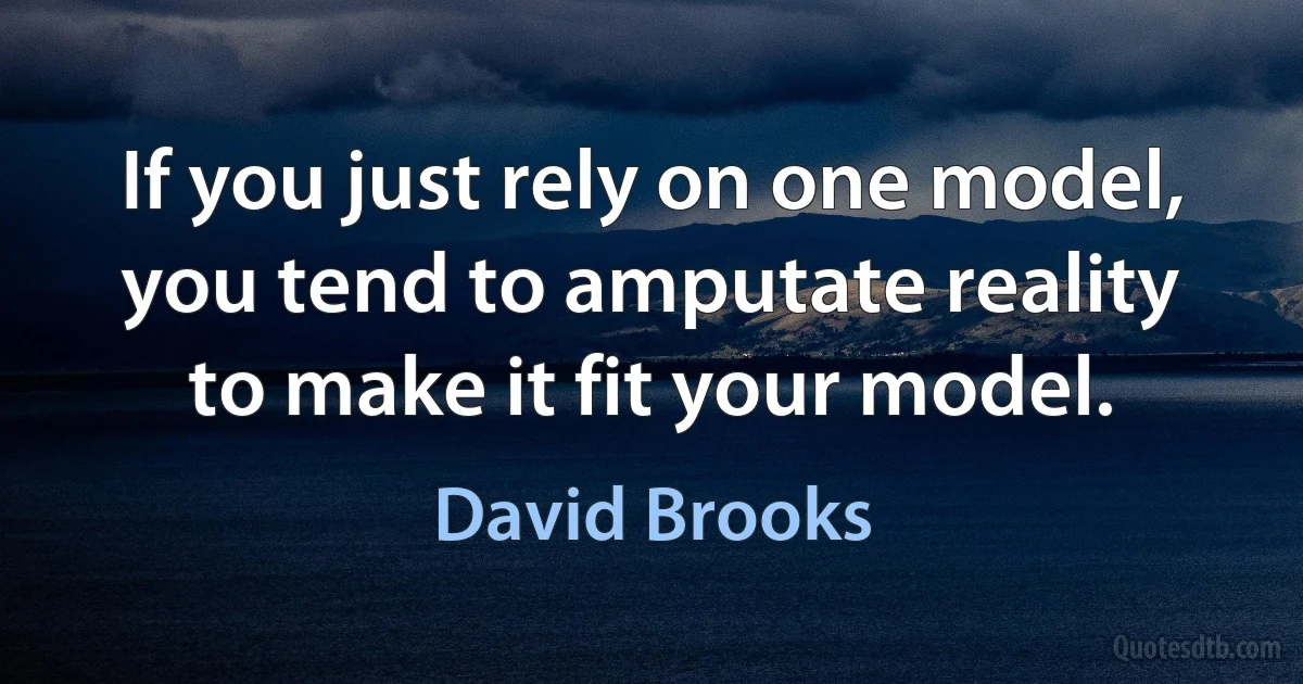 If you just rely on one model, you tend to amputate reality to make it fit your model. (David Brooks)