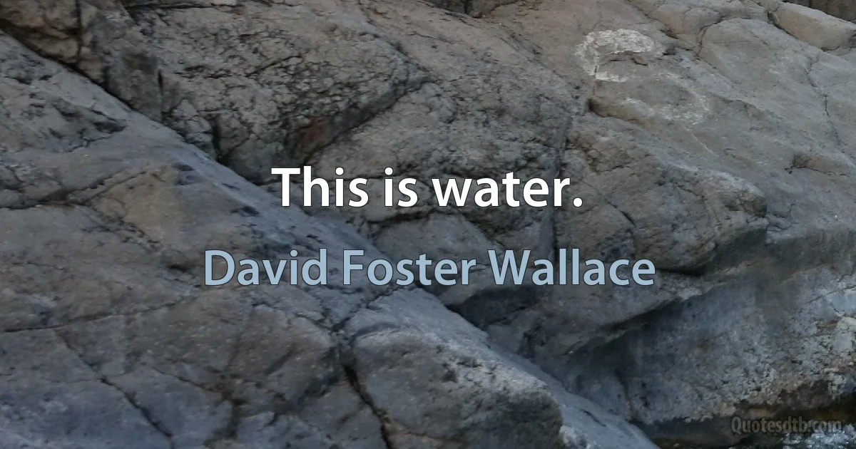 This is water. (David Foster Wallace)