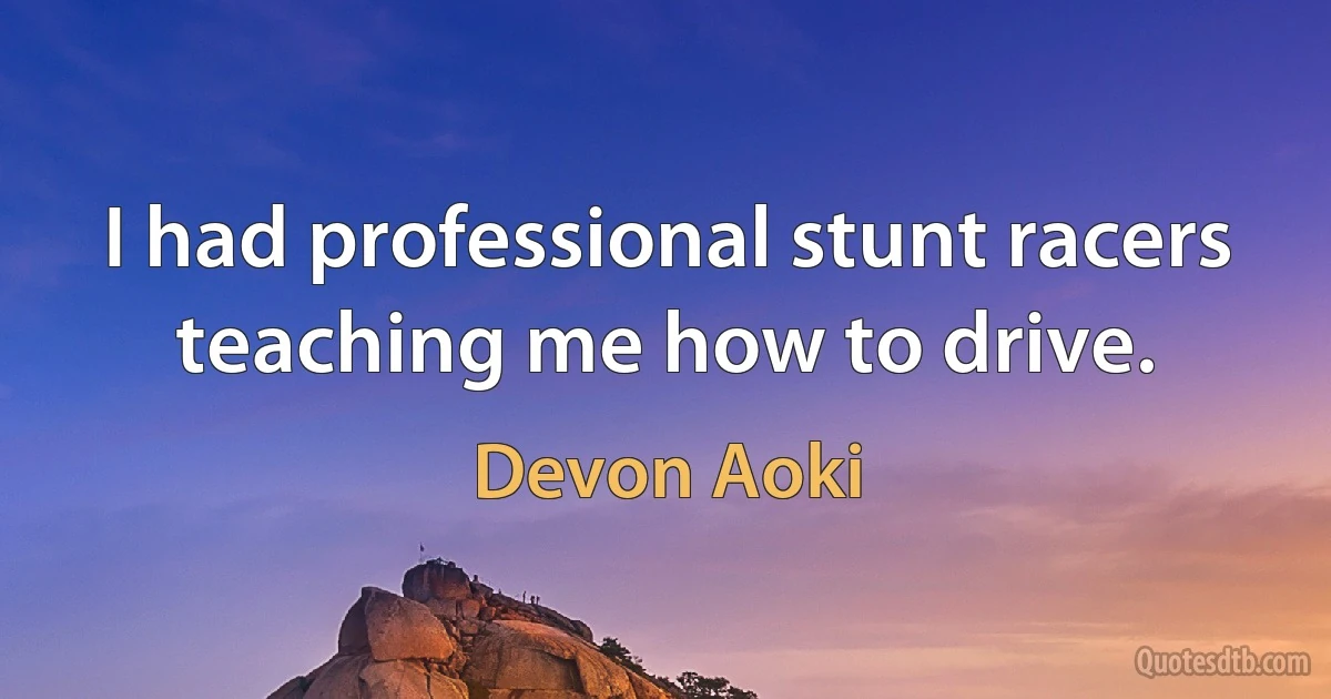 I had professional stunt racers teaching me how to drive. (Devon Aoki)