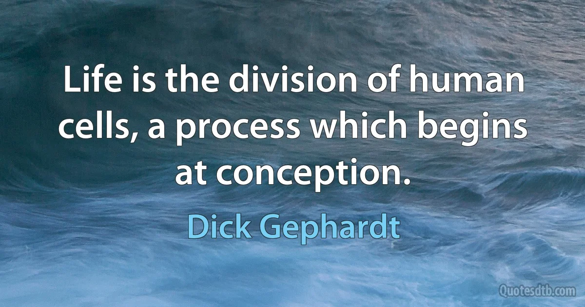 Life is the division of human cells, a process which begins at conception. (Dick Gephardt)