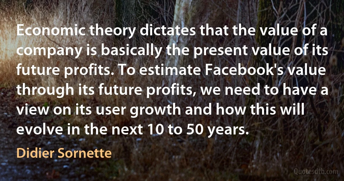 Economic theory dictates that the value of a company is basically the present value of its future profits. To estimate Facebook's value through its future profits, we need to have a view on its user growth and how this will evolve in the next 10 to 50 years. (Didier Sornette)