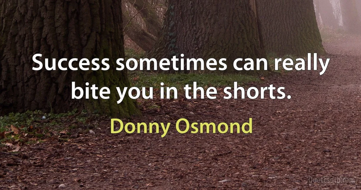 Success sometimes can really bite you in the shorts. (Donny Osmond)