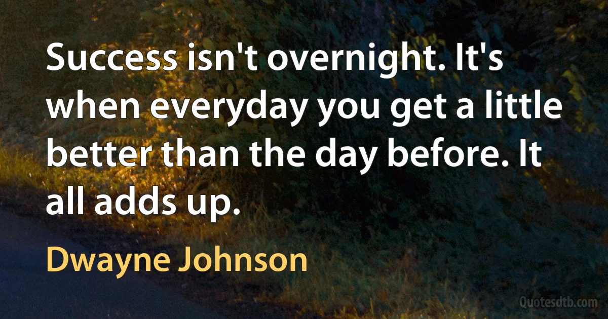 Success isn't overnight. It's when everyday you get a little better than the day before. It all adds up. (Dwayne Johnson)