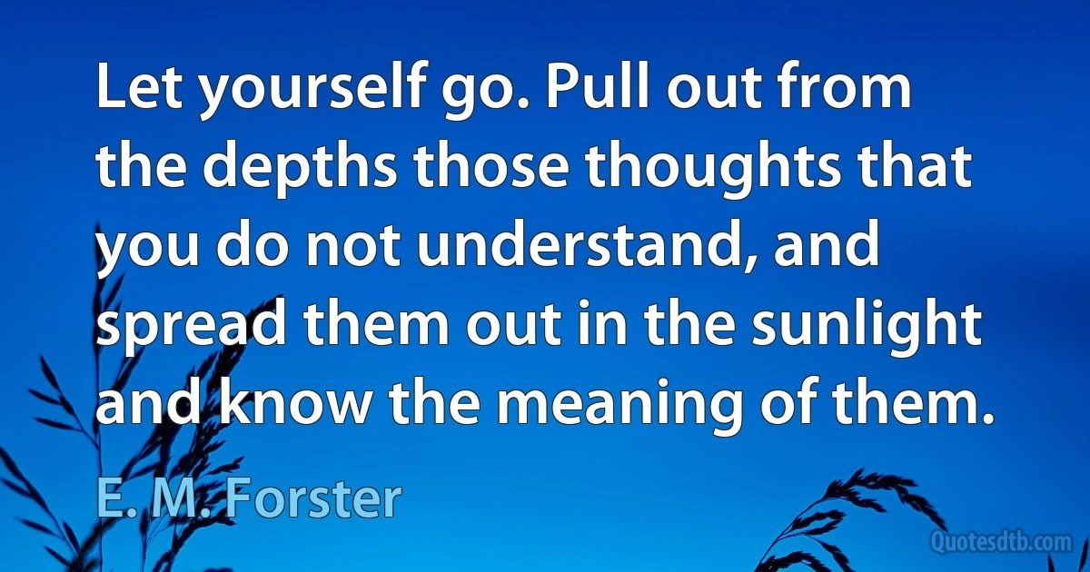 Let yourself go. Pull out from the depths those thoughts that you do not understand, and spread them out in the sunlight and know the meaning of them. (E. M. Forster)