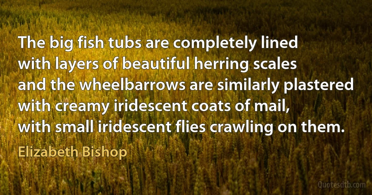 The big fish tubs are completely lined
with layers of beautiful herring scales
and the wheelbarrows are similarly plastered
with creamy iridescent coats of mail,
with small iridescent flies crawling on them. (Elizabeth Bishop)