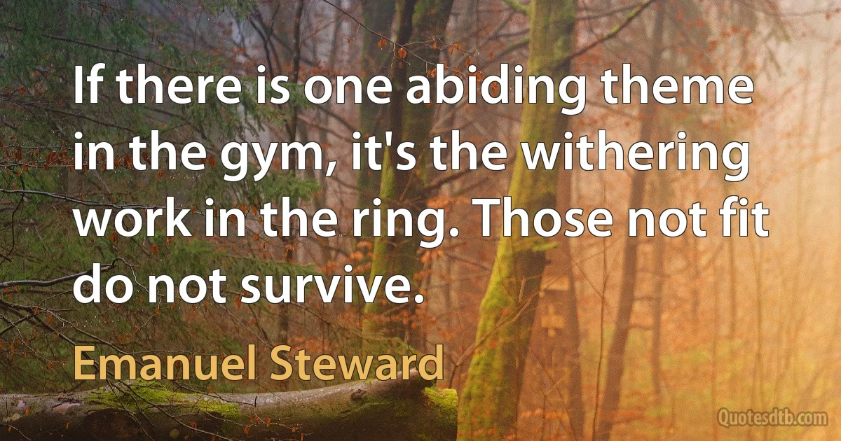 If there is one abiding theme in the gym, it's the withering work in the ring. Those not fit do not survive. (Emanuel Steward)