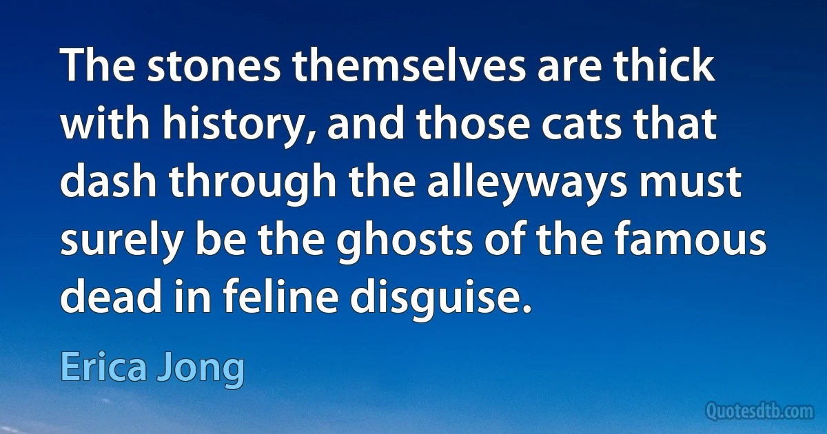 The stones themselves are thick with history, and those cats that dash through the alleyways must surely be the ghosts of the famous dead in feline disguise. (Erica Jong)