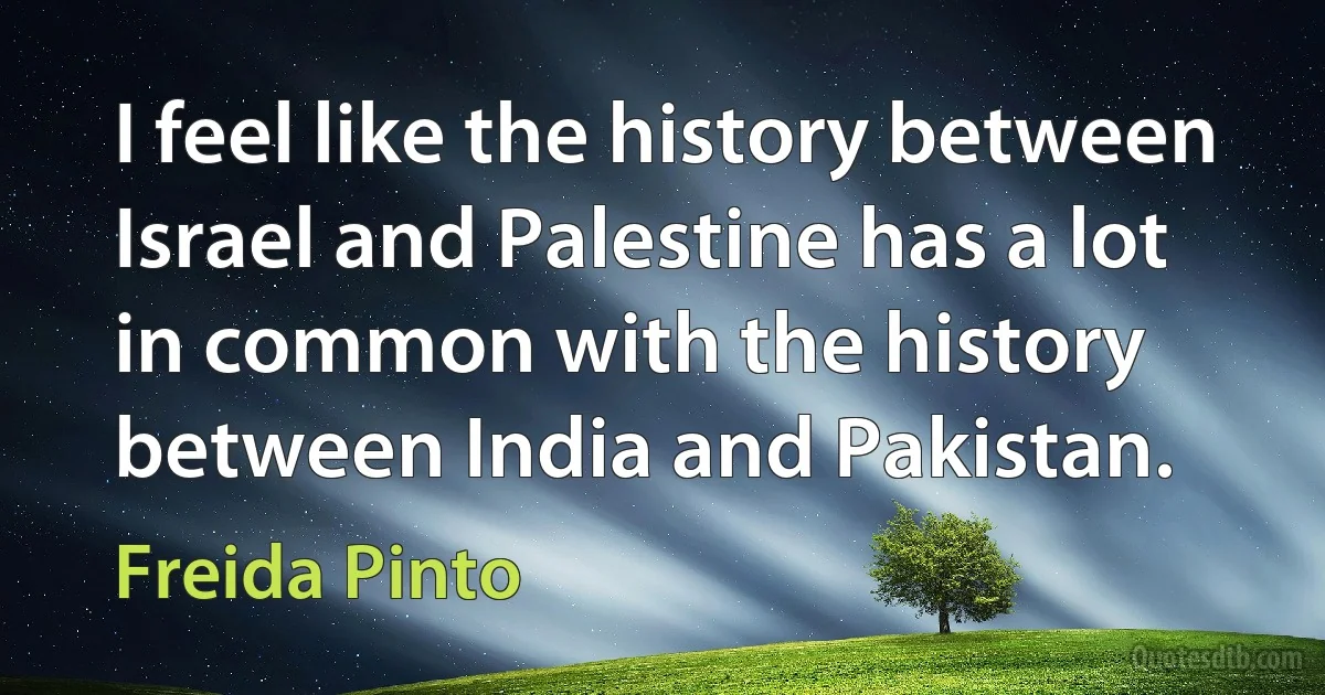 I feel like the history between Israel and Palestine has a lot in common with the history between India and Pakistan. (Freida Pinto)