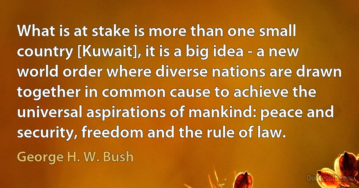 What is at stake is more than one small country [Kuwait], it is a big idea - a new world order where diverse nations are drawn together in common cause to achieve the universal aspirations of mankind: peace and security, freedom and the rule of law. (George H. W. Bush)