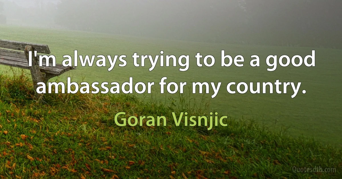 I'm always trying to be a good ambassador for my country. (Goran Visnjic)