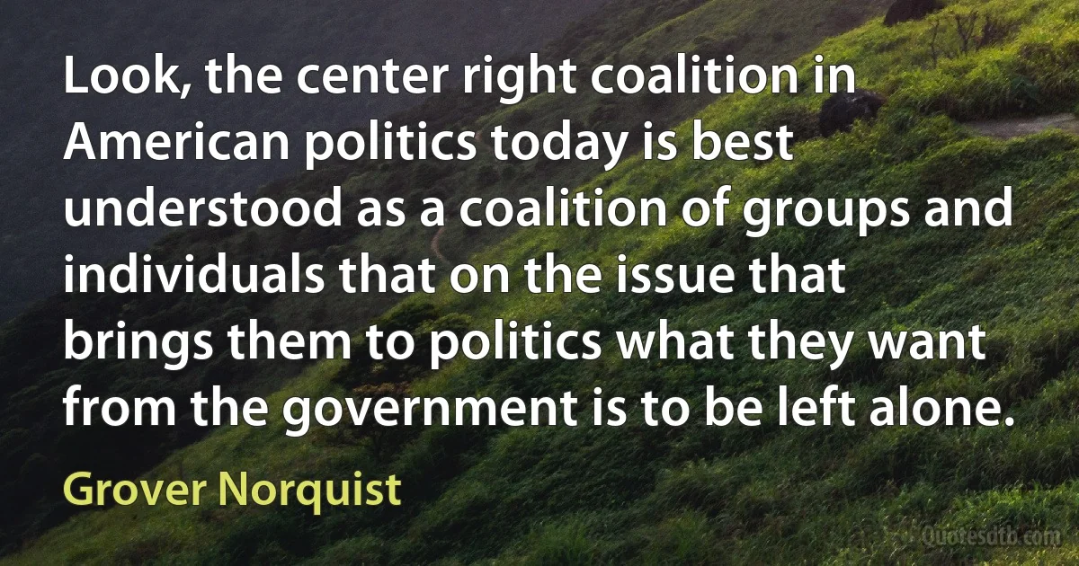 Look, the center right coalition in American politics today is best understood as a coalition of groups and individuals that on the issue that brings them to politics what they want from the government is to be left alone. (Grover Norquist)