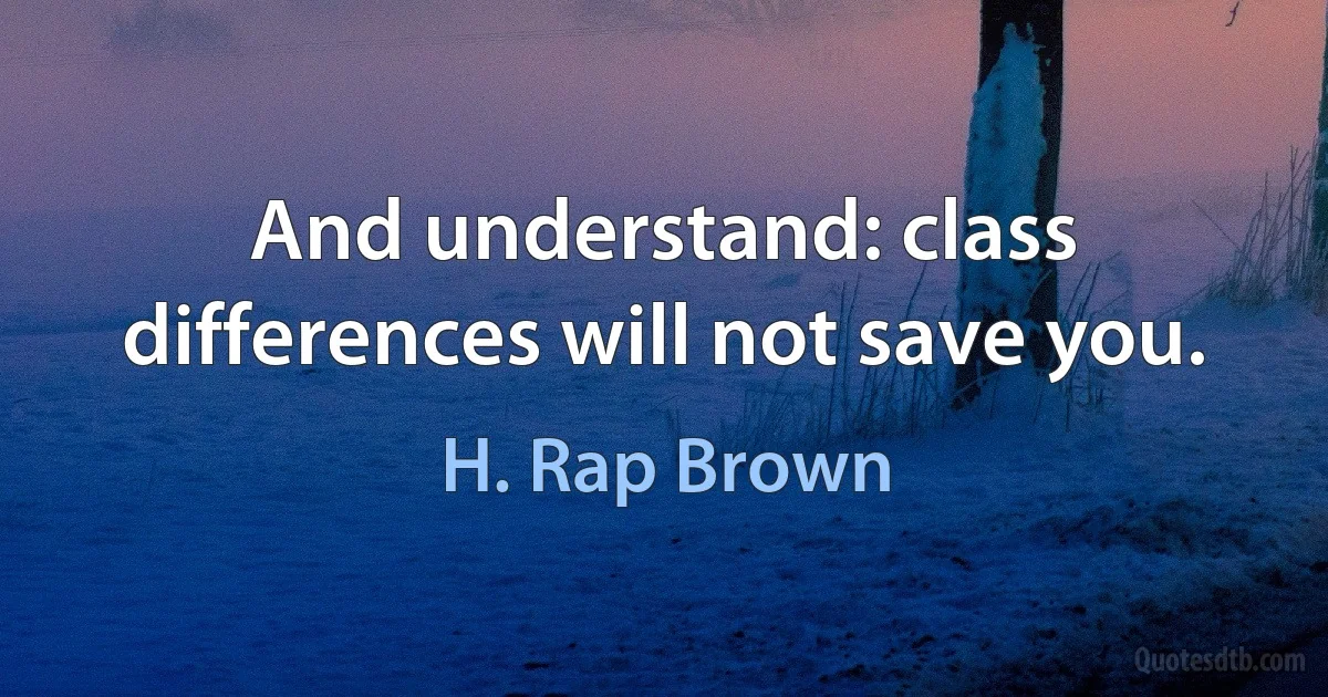 And understand: class differences will not save you. (H. Rap Brown)