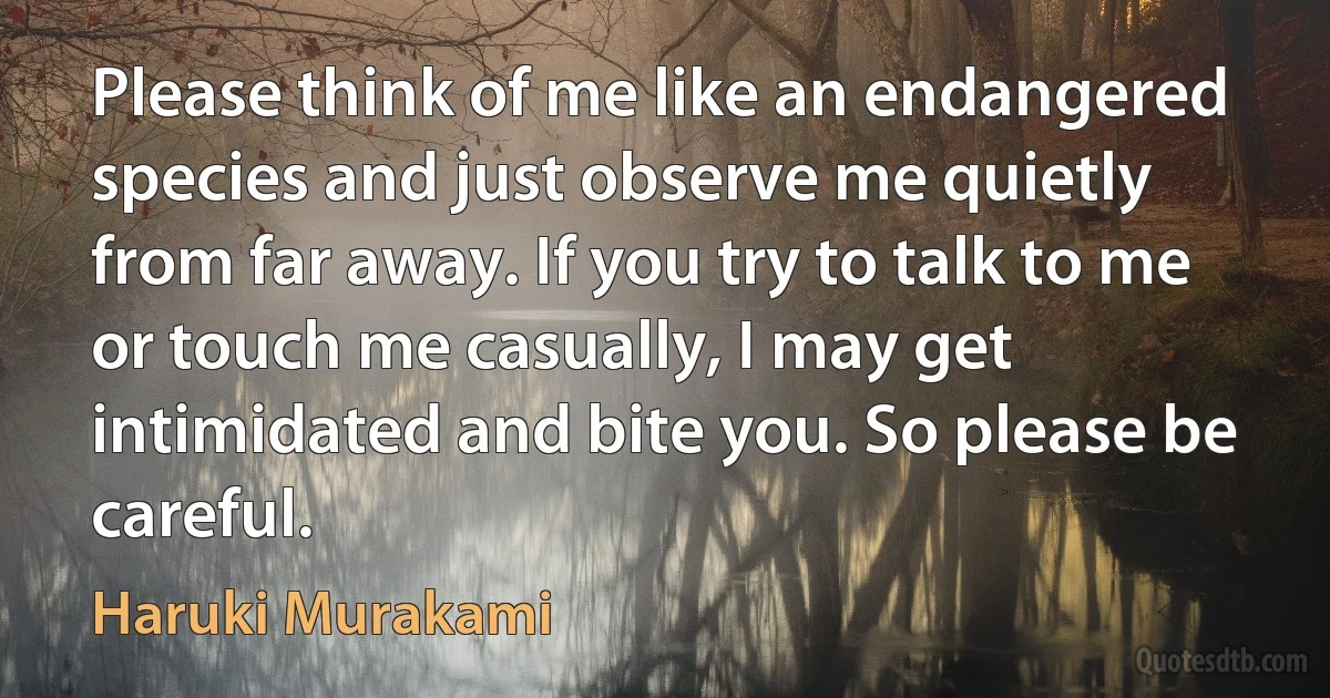 Please think of me like an endangered species and just observe me quietly from far away. If you try to talk to me or touch me casually, I may get intimidated and bite you. So please be careful. (Haruki Murakami)