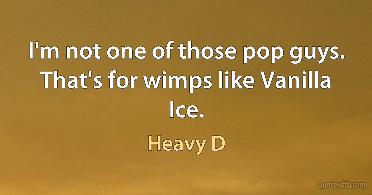 I'm not one of those pop guys. That's for wimps like Vanilla Ice. (Heavy D)