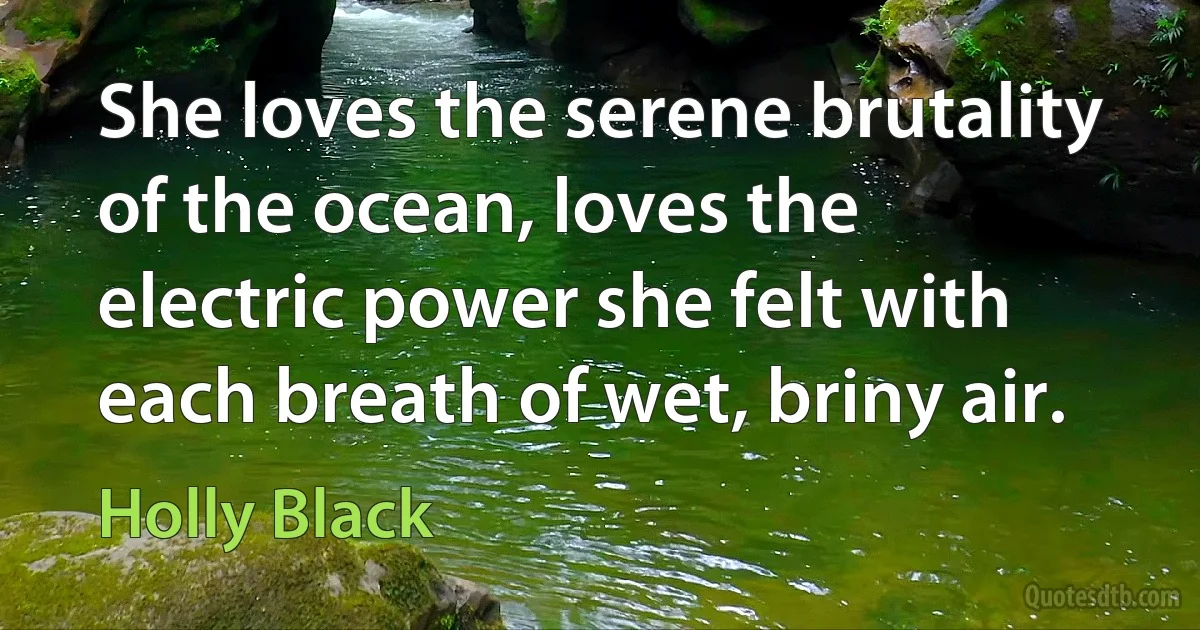 She loves the serene brutality of the ocean, loves the electric power she felt with each breath of wet, briny air. (Holly Black)