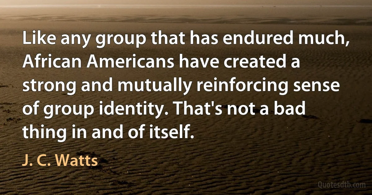 Like any group that has endured much, African Americans have created a strong and mutually reinforcing sense of group identity. That's not a bad thing in and of itself. (J. C. Watts)