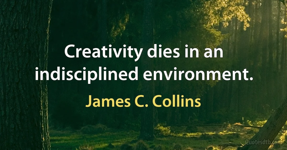 Creativity dies in an indisciplined environment. (James C. Collins)