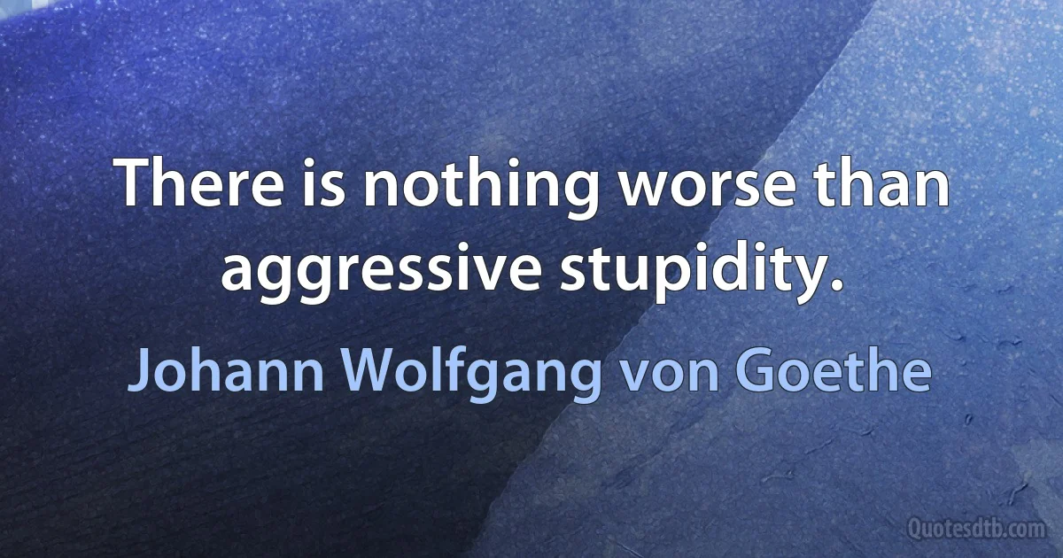 There is nothing worse than aggressive stupidity. (Johann Wolfgang von Goethe)