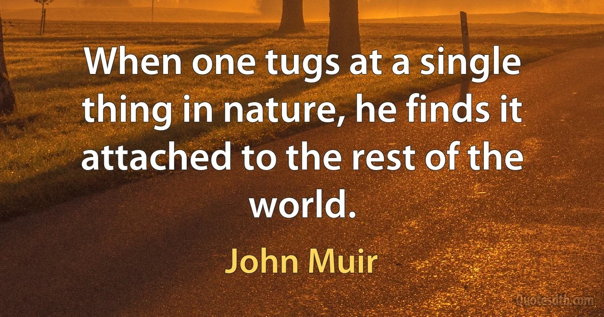 When one tugs at a single thing in nature, he finds it attached to the rest of the world. (John Muir)