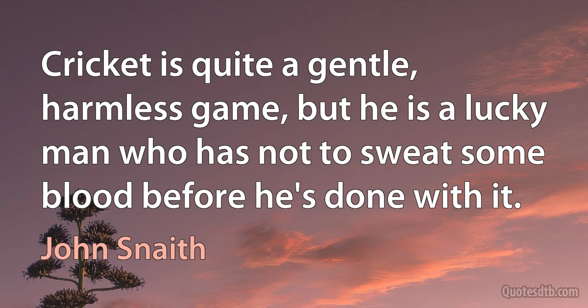 Cricket is quite a gentle, harmless game, but he is a lucky man who has not to sweat some blood before he's done with it. (John Snaith)