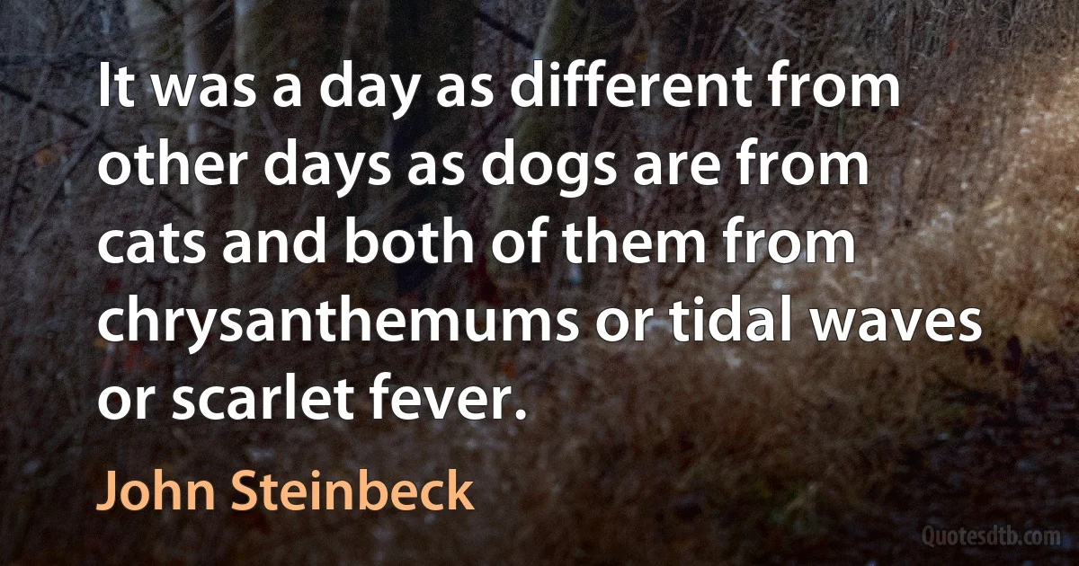 It was a day as different from other days as dogs are from cats and both of them from chrysanthemums or tidal waves or scarlet fever. (John Steinbeck)