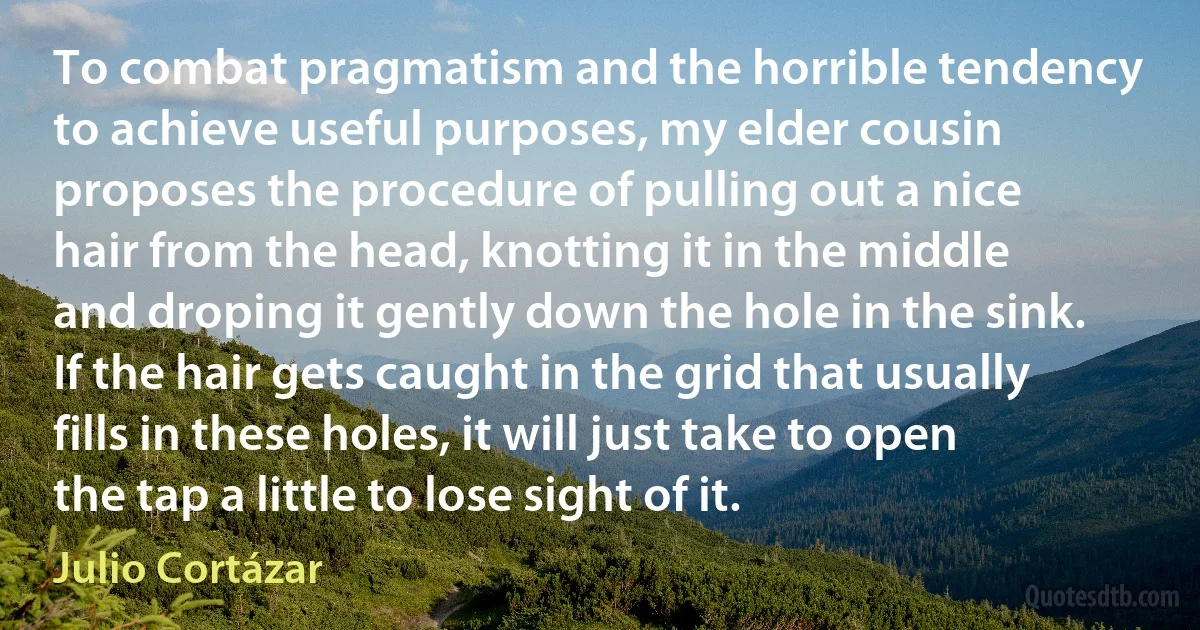 To combat pragmatism and the horrible tendency to achieve useful purposes, my elder cousin proposes the procedure of pulling out a nice hair from the head, knotting it in the middle and droping it gently down the hole in the sink. If the hair gets caught in the grid that usually fills in these holes, it will just take to open the tap a little to lose sight of it. (Julio Cortázar)