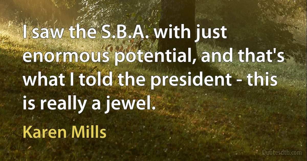 I saw the S.B.A. with just enormous potential, and that's what I told the president - this is really a jewel. (Karen Mills)