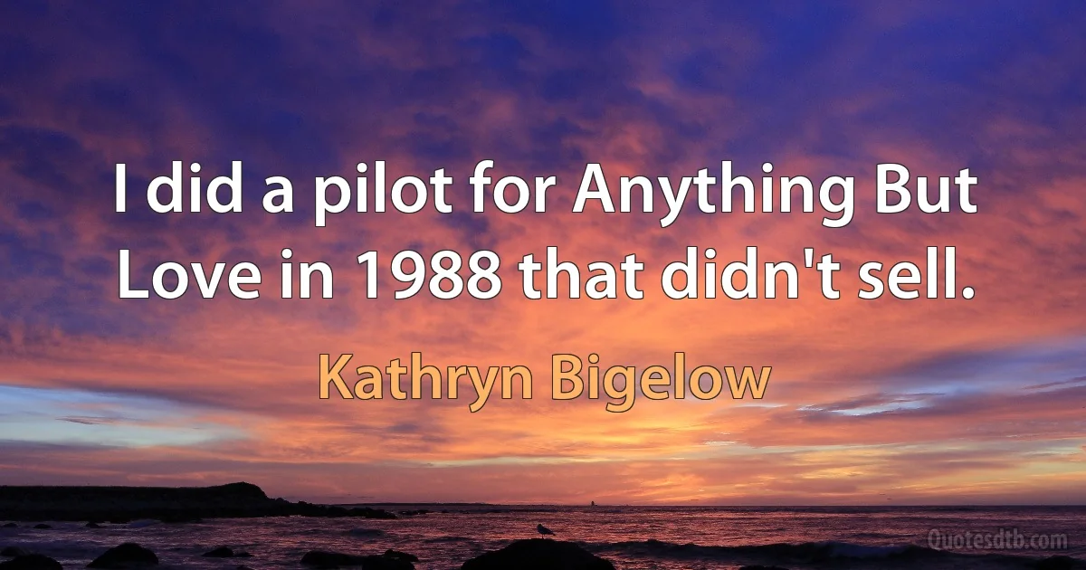 I did a pilot for Anything But Love in 1988 that didn't sell. (Kathryn Bigelow)