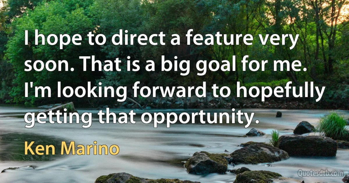 I hope to direct a feature very soon. That is a big goal for me. I'm looking forward to hopefully getting that opportunity. (Ken Marino)