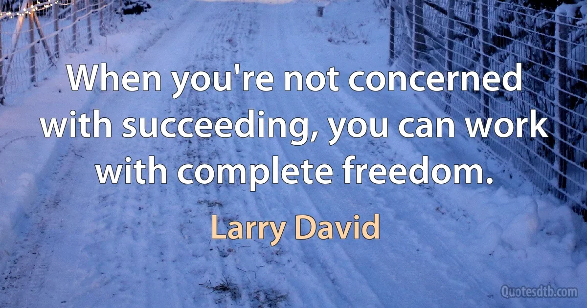 When you're not concerned with succeeding, you can work with complete freedom. (Larry David)