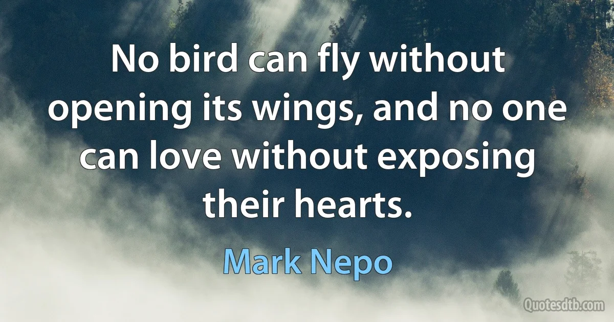 No bird can fly without opening its wings, and no one can love without exposing their hearts. (Mark Nepo)