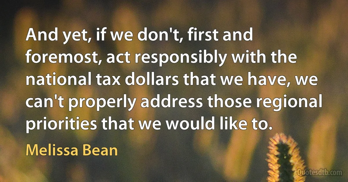 And yet, if we don't, first and foremost, act responsibly with the national tax dollars that we have, we can't properly address those regional priorities that we would like to. (Melissa Bean)