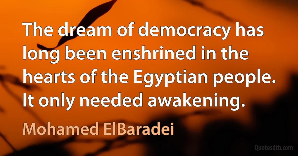 The dream of democracy has long been enshrined in the hearts of the Egyptian people. It only needed awakening. (Mohamed ElBaradei)