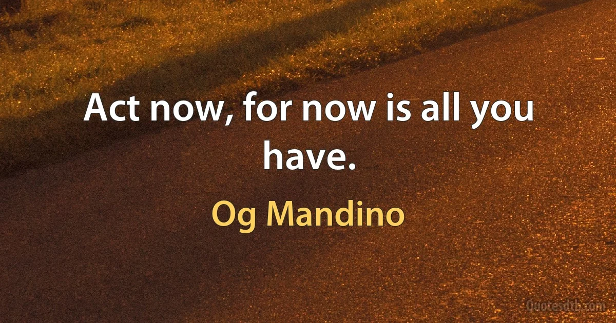 Act now, for now is all you have. (Og Mandino)