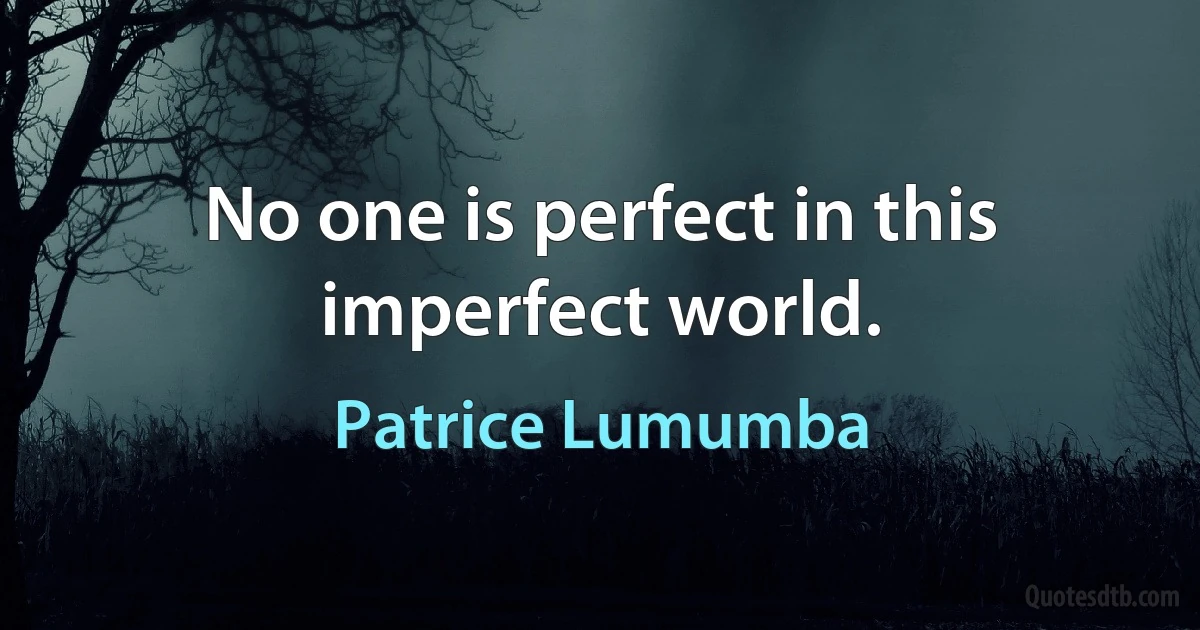 No one is perfect in this imperfect world. (Patrice Lumumba)