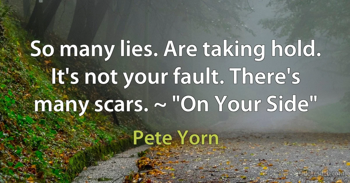 So many lies. Are taking hold. It's not your fault. There's many scars. ~ "On Your Side" (Pete Yorn)