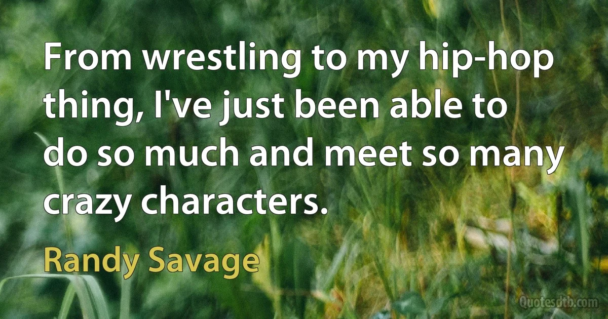 From wrestling to my hip-hop thing, I've just been able to do so much and meet so many crazy characters. (Randy Savage)