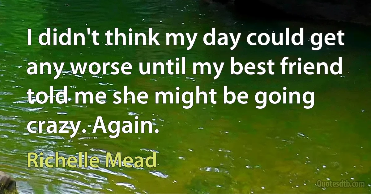 I didn't think my day could get any worse until my best friend told me she might be going crazy. Again. (Richelle Mead)