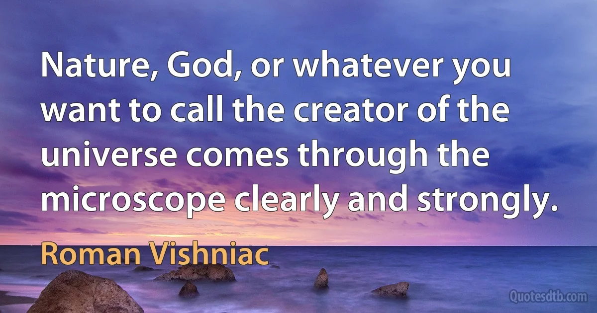 Nature, God, or whatever you want to call the creator of the universe comes through the microscope clearly and strongly. (Roman Vishniac)