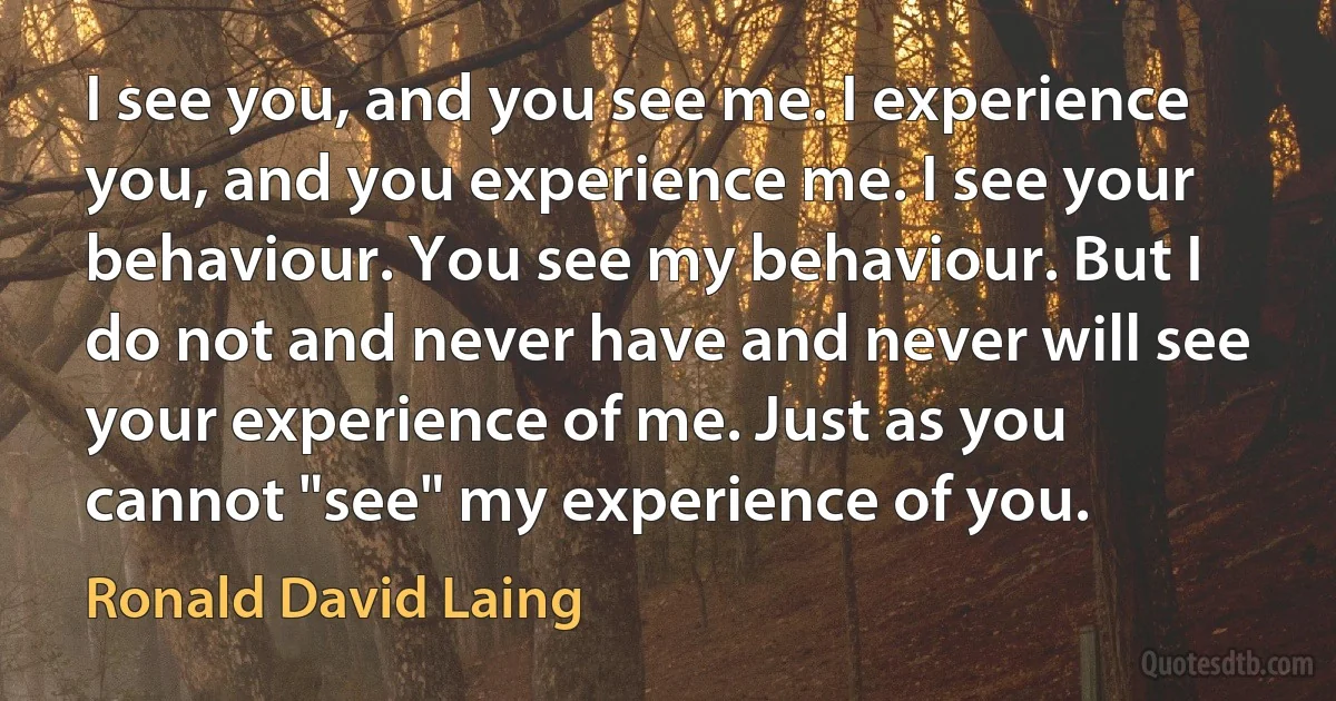 I see you, and you see me. I experience you, and you experience me. I see your behaviour. You see my behaviour. But I do not and never have and never will see your experience of me. Just as you cannot "see" my experience of you. (Ronald David Laing)