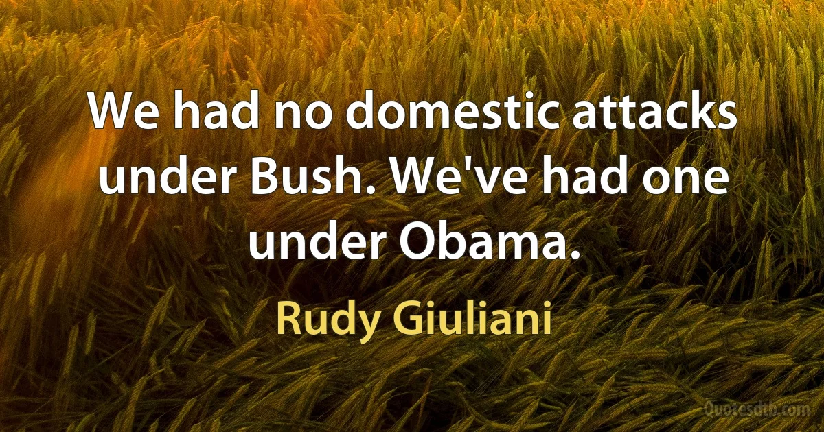 We had no domestic attacks under Bush. We've had one under Obama. (Rudy Giuliani)