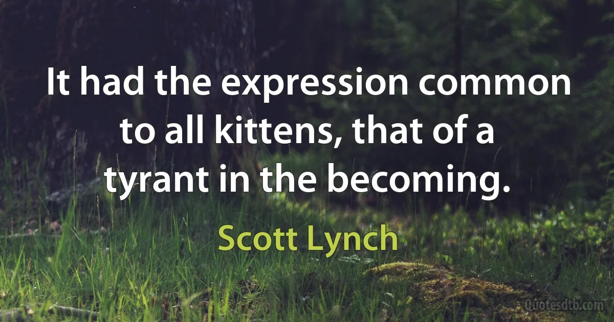 It had the expression common to all kittens, that of a tyrant in the becoming. (Scott Lynch)