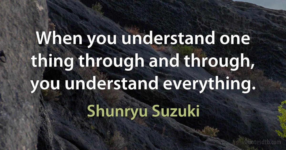 When you understand one thing through and through, you understand everything. (Shunryu Suzuki)