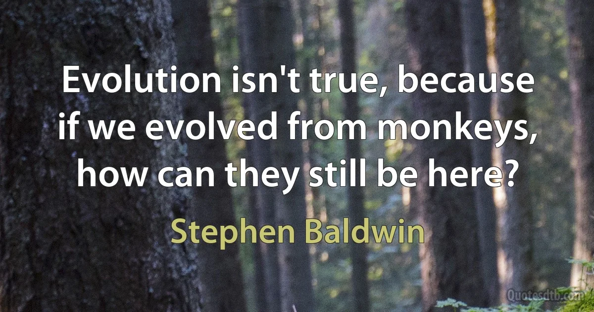 Evolution isn't true, because if we evolved from monkeys, how can they still be here? (Stephen Baldwin)