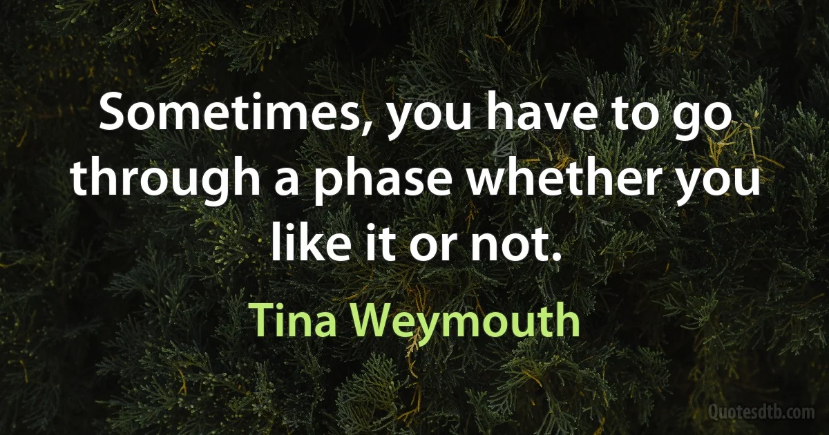 Sometimes, you have to go through a phase whether you like it or not. (Tina Weymouth)