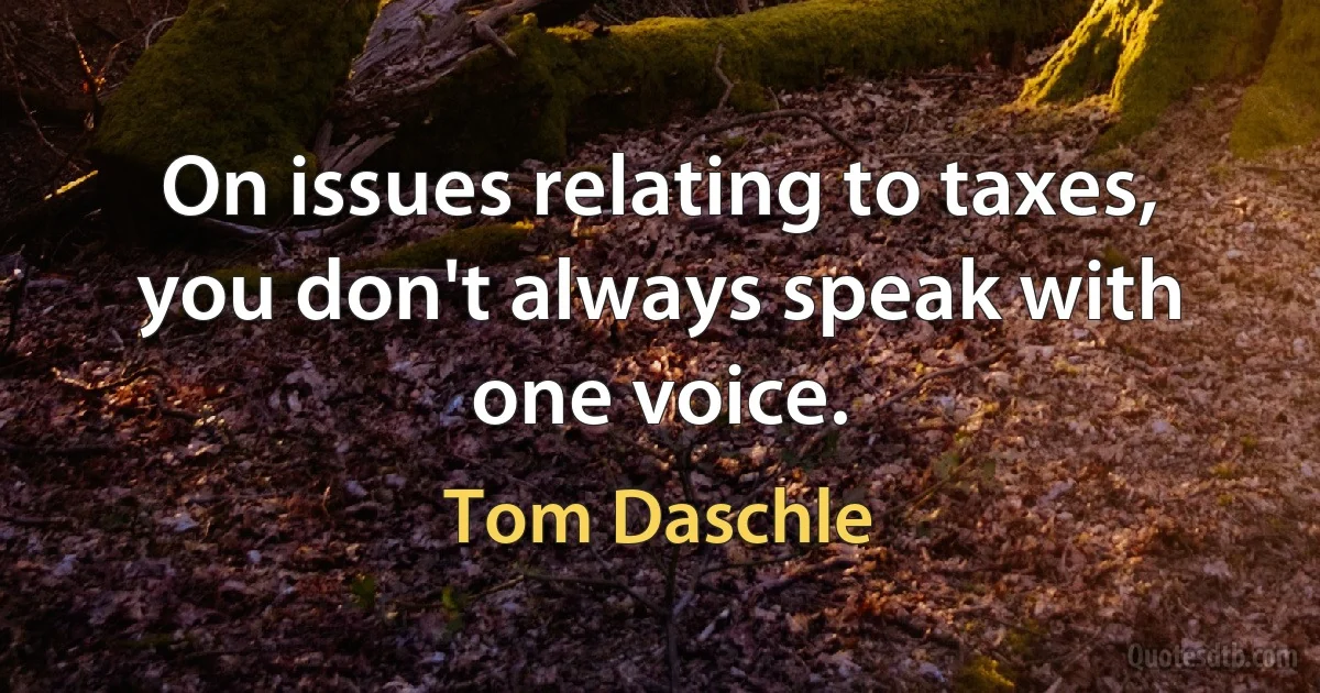 On issues relating to taxes, you don't always speak with one voice. (Tom Daschle)