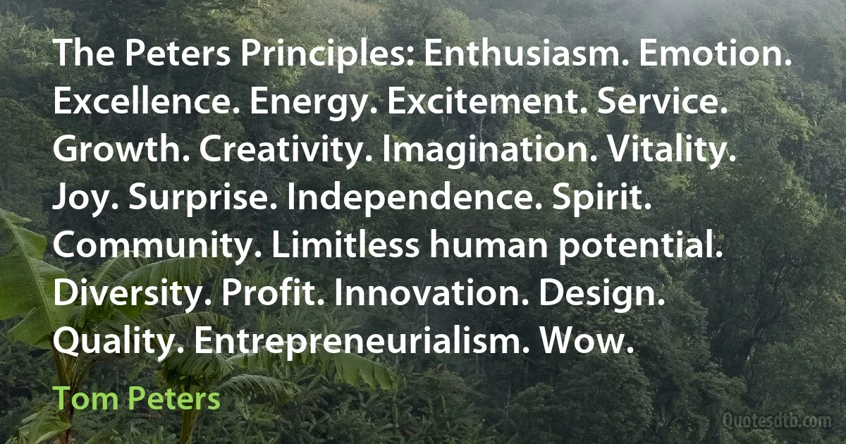 The Peters Principles: Enthusiasm. Emotion. Excellence. Energy. Excitement. Service. Growth. Creativity. Imagination. Vitality. Joy. Surprise. Independence. Spirit. Community. Limitless human potential. Diversity. Profit. Innovation. Design. Quality. Entrepreneurialism. Wow. (Tom Peters)