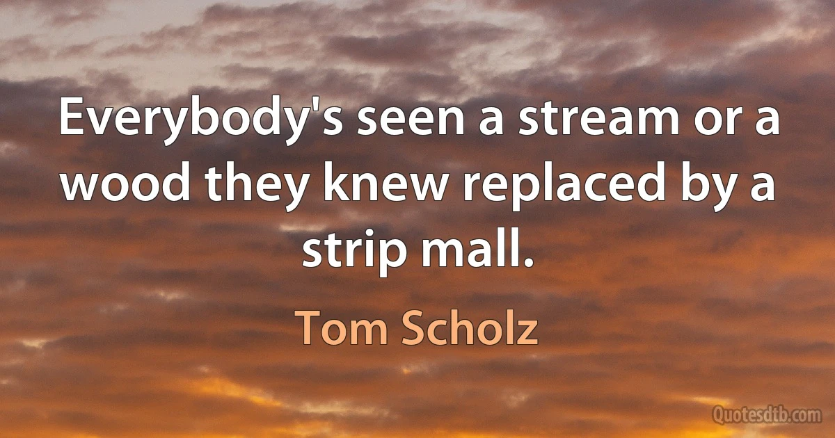 Everybody's seen a stream or a wood they knew replaced by a strip mall. (Tom Scholz)